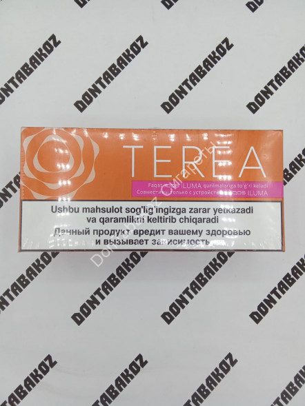 Стики Terea Amber Узбекистан Оптом