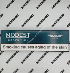 Сигареты Modest Grape Vine Nano Микс
