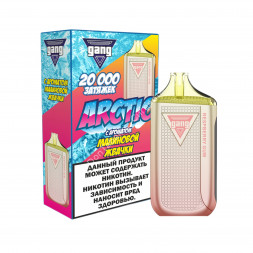 Электронная сигарета GANG ARCTIC 20000 Малиновая жвачка 20мг ОПТОМ  