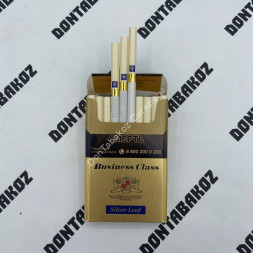 Сигареты Business Class Silver Leaf Nano Микс
