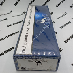Сигареты Кэмел (Camel) Blu Duty Free Германия Оптом